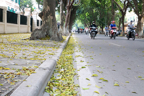 Bắc bộ mưa rào và dông, Trung bộ nắng nóng diện rộng trở lại