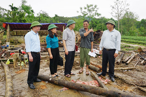 thiên tai gây thiệt hại