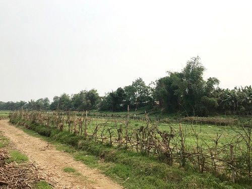 đất đai