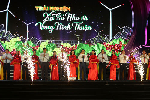 ‘Trải nghiệm xứ sở Nho và Vang Ninh Thuận’