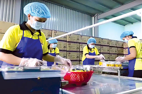 Việc bãi bỏ quy định thu cũng như giảm một số khoản phí, lệ phí đã giảm chi phí cho doanh nghiệp.