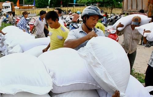 Hỗ trợ gạo cho tỉnh Cao Bằng