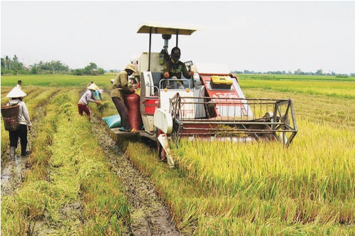 phai nghi cach tranh thiet hai cho nguoi nong dan