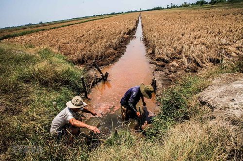 4 tháng, cả nước thiệt hại hơn 2,5 nghìn tỷ đồng do thiên tai