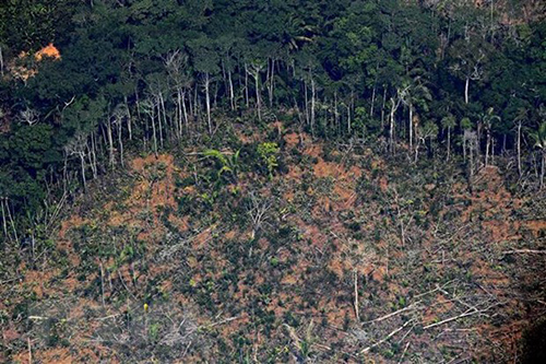 Một khoảng rừng Amazon ở bang Rondonia, miền Bắc Brazil bị tàn phá