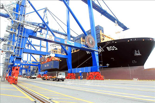 Hoạt động bốc xếp hàng nhập khẩu tại cảng biển Hải Phòng