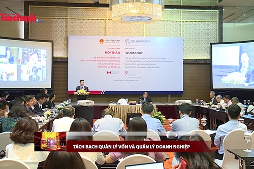 Tách bạch quản lý vốn và quản lý doanh nghiệp