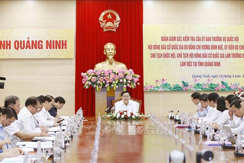 Giám sát để đảm bảo cuộc bầu cử diễn ra dân chủ, công bằng, đúng pháp luật