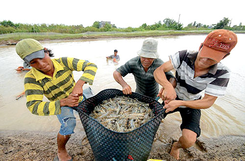 Đối tác lớn