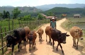 quang ngai khoi dong du an giam ngheo voi 25 ty dong
