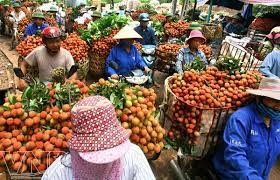 Mở rộng thị trường xuất khẩu quả vải tươi