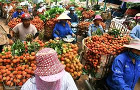 Mở rộng thị trường xuất khẩu quả vải tươi
