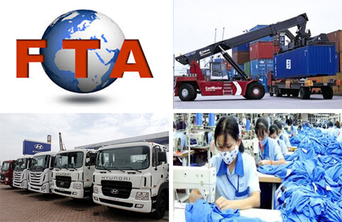 fta  việt nam - hàn quốc