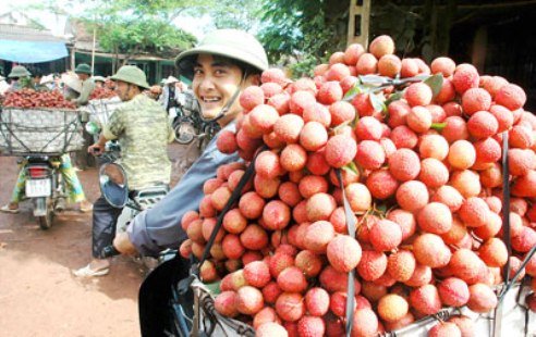 Hà Nội và Bắc Giang hợp tác tiêu thụ hàng hóa, nông sản