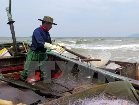 Hà Tĩnh hỗ trợ 5 triệu đồng cho mỗi điểm kinh doanh hải sản an toàn