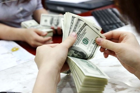 Việt Nam ký 8 hiệp định vay nước ngoài trị giá hơn 496 triệu USD