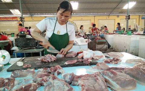 Giá lợn hơi tăng 5.000 – 7.000 đồng/kg