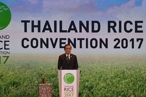 viet nam tham du hoi nghi gao tai thai lan