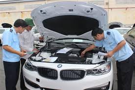 Cơ quan Hải quan sẵn sàng tạo điều kiện giải phóng hơn 250 xe BMW "nằm" cảng