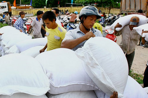 Xuất cấp gạo cho tỉnh Tuyên Quang, Quảng Bình