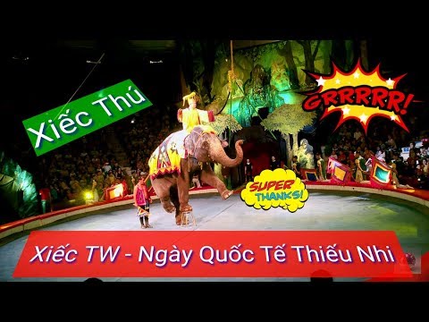 Đặc sắc chương trình xiếc chào mừng Ngày Quốc tế Thiếu nhi 1/6