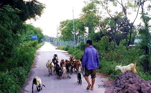 Nhiều địa phương chủ động bố trí kinh phí cho giảm nghèo