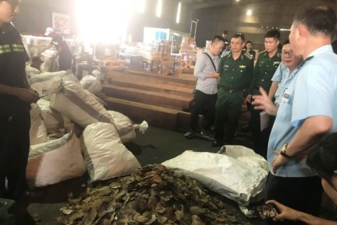 hai quan tp ho chi minh phat hien 347 vu vi pham
