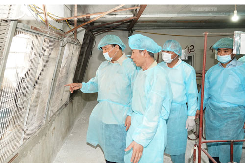 Thủ tướng kiểm tra, đôn đốc công tác phòng, chống dịch tả lợn châu Phi