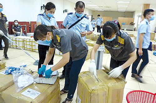 Lực lượng chống buôn lậu hải quan phát hiện, bắt giữ hơn 1 tấn lá Khát chứa chất ma túy