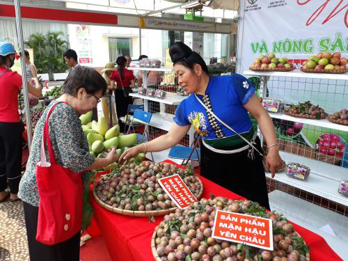 Tuần lễ mận và nông sản an toàn tỉnh Sơn La tại Hà Nội