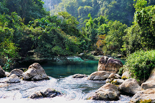 dong phong nha