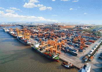 Hải Phòng: Kim ngạch xuất nhập khẩu giảm 8% so với cùng kỳ