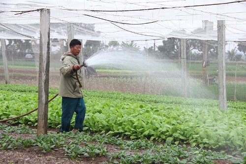 Hà Nội: Thu nhập bình quân khu vực nông thôn đạt 51,5 triệu đồng/người/năm