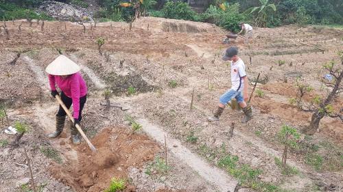 Dự thảo quyết định của Thủ tướng: Nâng mức chuẩn hộ nghèo, cận nghèo giai đoạn 2021