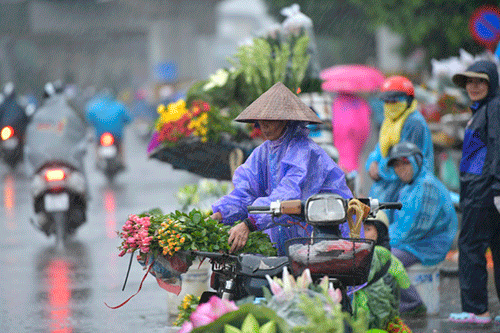 Thời tiết ngày 28/5: Vùng núi và trung du Bắc Bộ có mưa vừa, mưa to, có nơi rất to