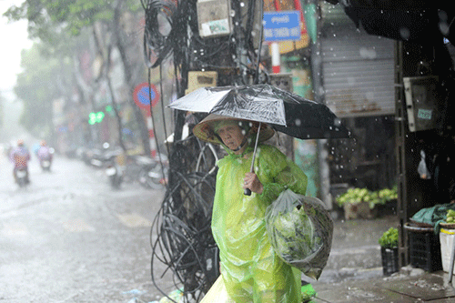 Thời tiết ngày 29/5: Tây Bắc Bộ và vùng núi phía Bắc có mưa vừa, mưa to