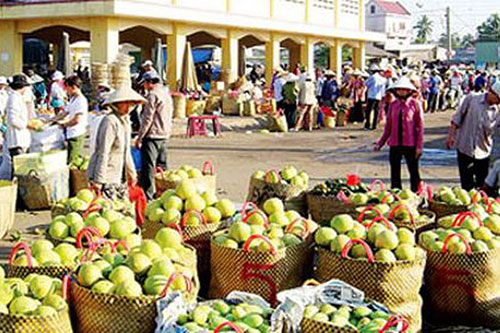 Xuất khẩu nông sản chính ngạch sang Trung Quốc: Tăng hiệu quả, giảm rủi ro