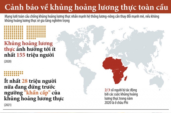 Infographic: Nguy cơ xảy ra khủng hoảng lương thực toàn cầu
