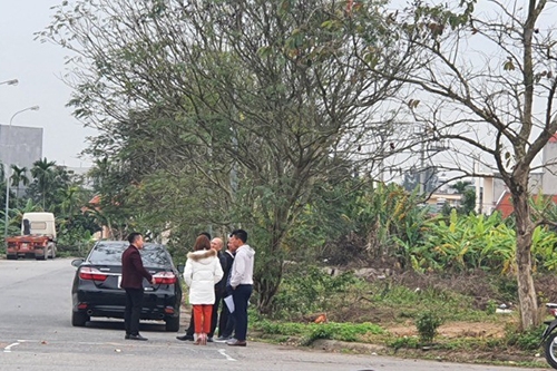 den luot hai phong vao cuoc chan sot dat