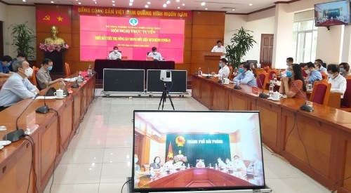 Bắc Giang: Xây dựng 3 kịch bản tiêu thụ vải thiều trong bối cảnh dịch Covid-19