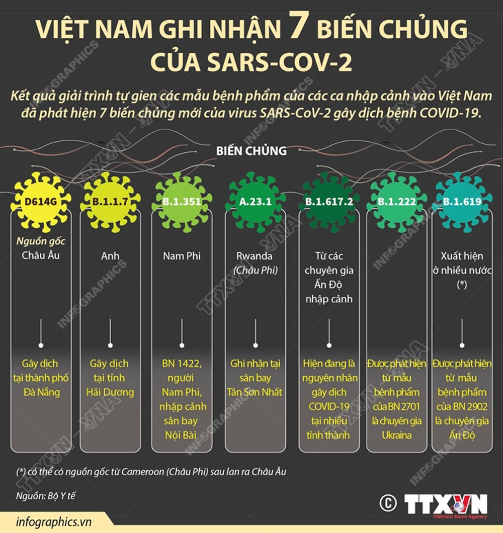 Việt Nam ghi nhận 7 biến chủng của SARS-CoV-2