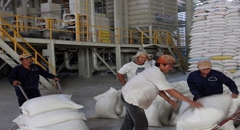 Đã chi hơn 648 tỷ đồng hỗ trợ lãi suất mua tạm trữ thóc, gạo