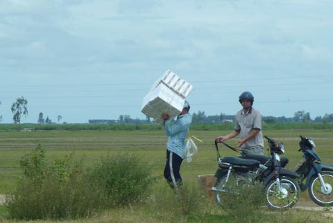 chống buôn lậu AG