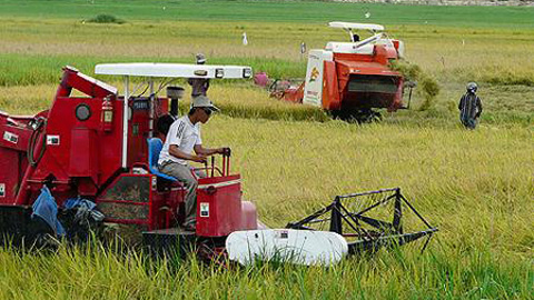 Hỗ trợ lãi suất giảm rủi ro trong nông nghiệp