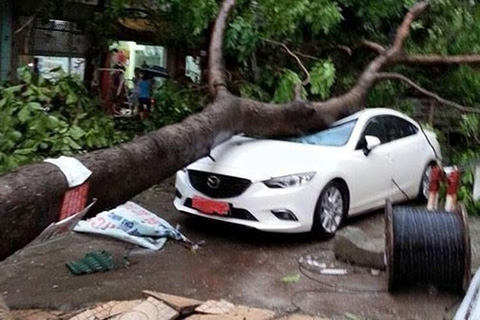 Có nên ban hành chế tài về dự báo thiên tai thiếu chính xác?