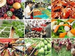 Lấy mẫu thịt, trứng, rau để giám sát an toàn thực phẩm