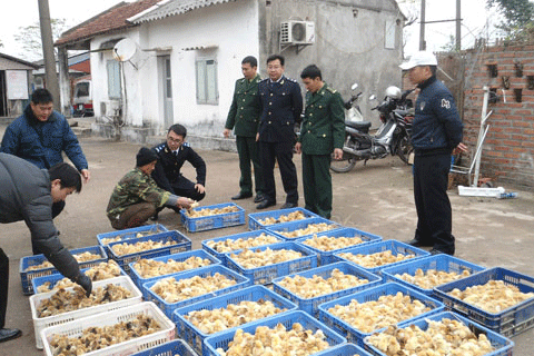 Mở rộng Cơ chế một cửa quốc gia lĩnh vực nông nghiệp