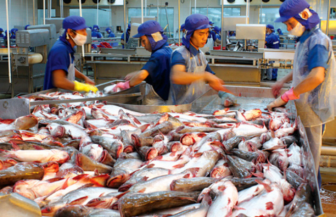 Nhiều hạ nghị sĩ Mỹ đề nghị Hạ viện bác bỏ chương trình giám sát cá da trơn
