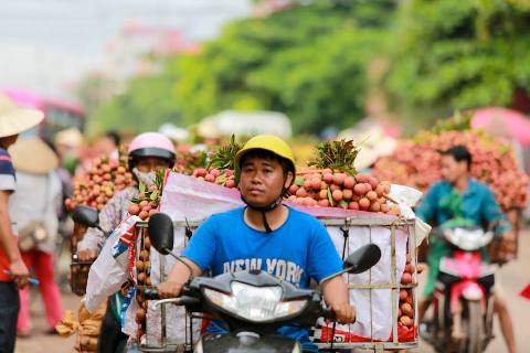 6 tháng, xuất khẩu nông lâm và thủy sản đạt hơn 15 tỷ USD