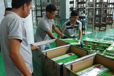 viet nam co 49 san pham duoc bao ho chi dan dia ly